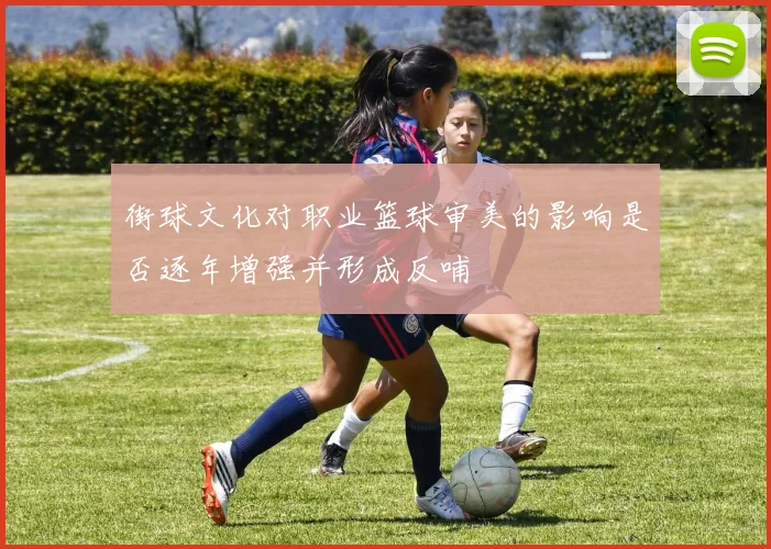 街球文化对职业篮球审美的影响是否逐年增强并形成反哺