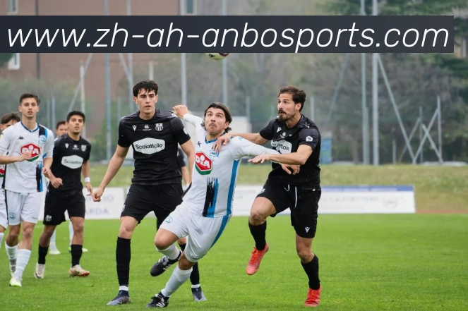 安博体育平台生态图